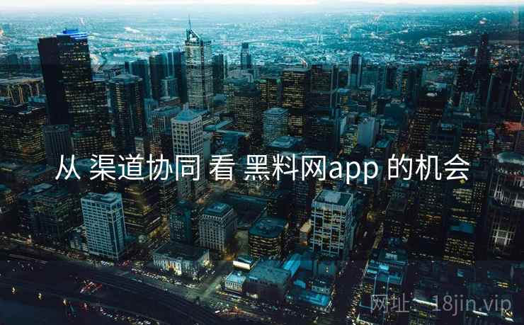 从 渠道协同 看 黑料网app 的机会 从 渠道协同 看 黑料网app 的机会