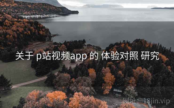 关于 p站视频app 的 体验对照 研究