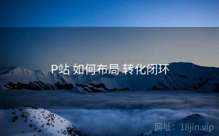 P站 如何布局 转化闭环 P站 如何布局 转化闭环
