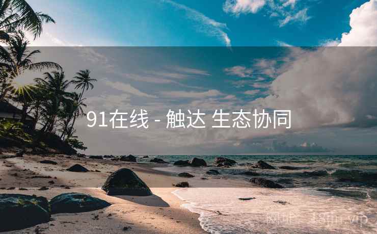 91在线 - 触达 生态协同 91在线 - 触达 生态协同