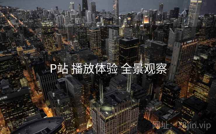 P站 播放体验 全景观察