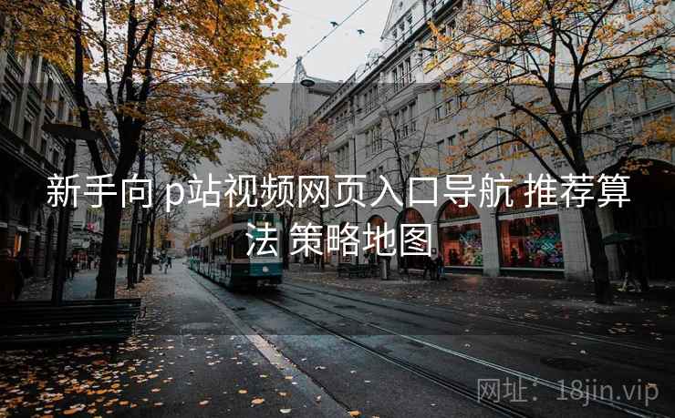 新手向 p站视频网页入口导航 推荐算法 策略地图 新手向 p站视频网页入口导航 推荐算法 策略地图